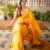 Yellow Meera Semi Paithani Saree